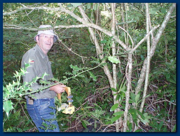 600x449 pixels (210K)